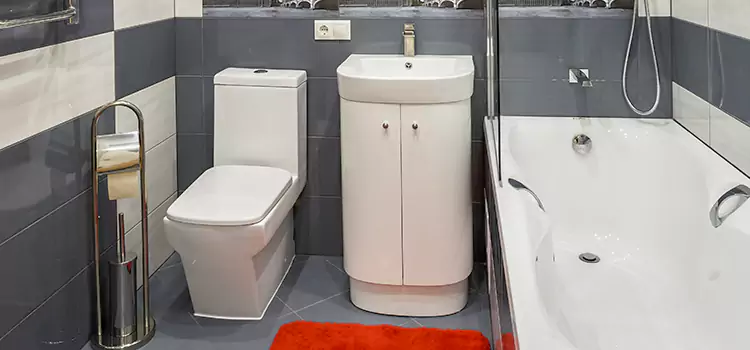 Hansgrohe Shaving Mirror Oildale